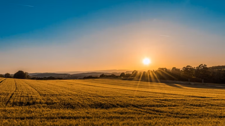 bridging loan against land sunset